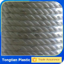 The Leading Brand of Rope Industry in China Polyester 3 strand rope